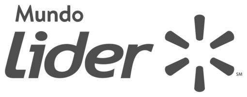 Líder