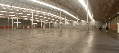 Arriendo Bodegas. San Bernardo
