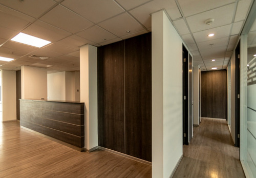 Espectacurlar Oficina 221m2
