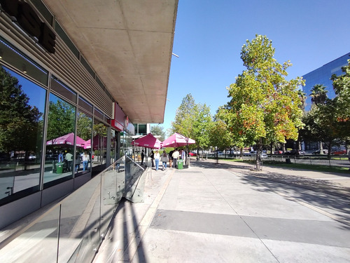 Gran Local Comercial En Pleno San Damián 480,8 M2
